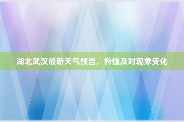 湖北武汉最新天气预告，矜恤及时现象变化